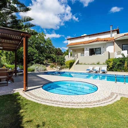 Alonia Villa, Refined Living With 50M2 Private Pool, By Thinkvilla Μελιδόνι Εξωτερικό φωτογραφία